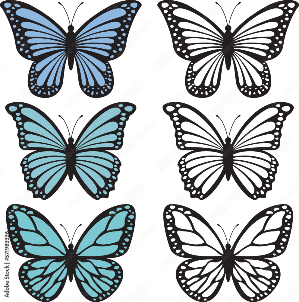 Wall mural a set of bright butterflies isolated on a white background. vector illustration.