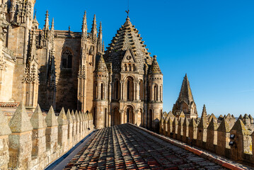 View of the roofs and dome of the Old Cathedral of Salamanca a blue sky day. Castilla y Leon, Spain - obrazy, fototapety, plakaty