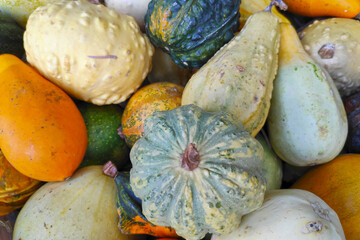 Stack of various Cucurbits on a market stall