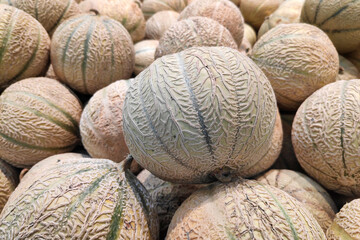 Stack of melons on a market stall