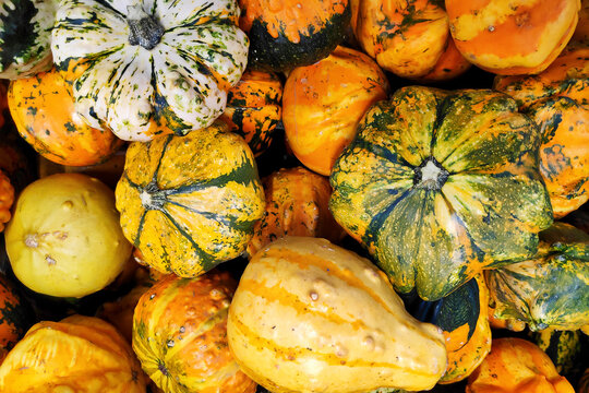 Stack of various Cucurbits on a market stall