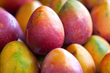 Stack of mangoes for sale on a market stall