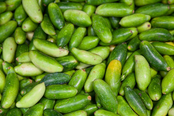 Stack of Indian Tendli on a market stall