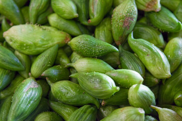 Stack of Stuffing cucumbers on a market stall