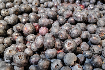 Stack of bilberries on a market stall