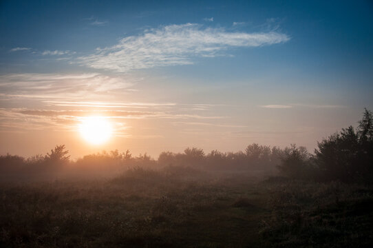 Meadow and river Goryn are located in Ukraine, Rivne region. © Галина Нечипорук