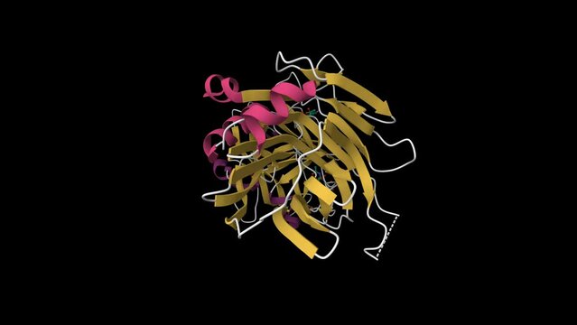 Structure of botulinum neurotoxin type C. Animated 3D cartoon model, secondary structure color scheme, PDB 3r4s, black background