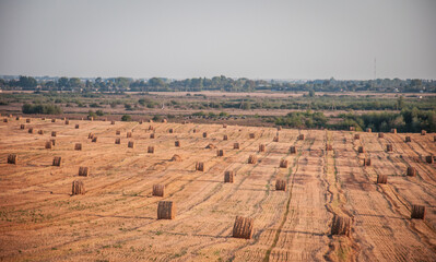 On an early autumn evening, bales of straw are waiting to be picked up from the field.