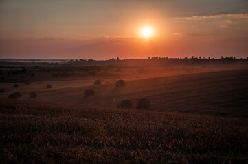 On an early autumn evening, bales of straw are waiting to be picked up from the field.