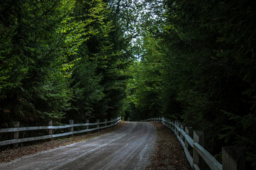 Fototapeta premium Nadsluchanskiy Regional Landscape Park is a protected area in the Bereznivsky district of Rivne region. Located in the valley of the river Sluch.