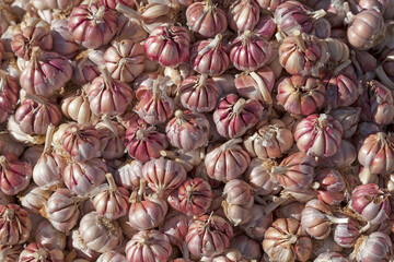 Stack of garlics on a market stall