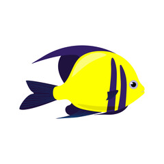 Decorative yellow sea fish with blue fins. Vector fish isolate in flat style, Sea exotic animals.