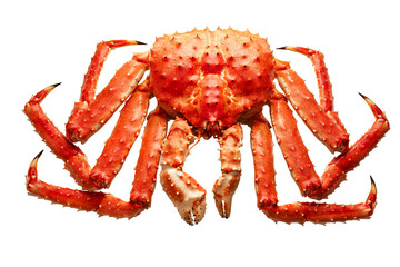 Large red kamchatsky king crab isolated on a transparent background