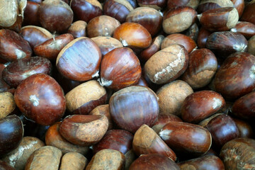 Stack of chestnuts on a market stall