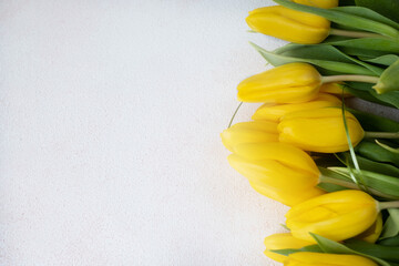 yellow tulips on a light background. Spring flowers. Place for text