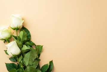Mother's Day concept. Top view photo of bouquet of white roses on isolated beige background with copyspace