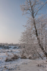 Winter is enchanting with its snow, the crunch of frost, covered the villages and towns.