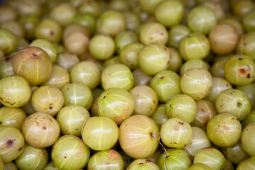 Stack of Indian gooseberries on a market stall