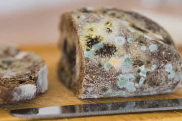 Close view of moldy bread and knife on a cutting board.SDOF