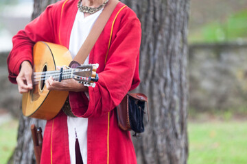 Medieval minstrel playing guitar - obrazy, fototapety, plakaty