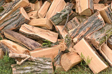 Firewood on the grass close-up.