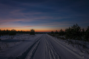 Evening in a snowy forest.