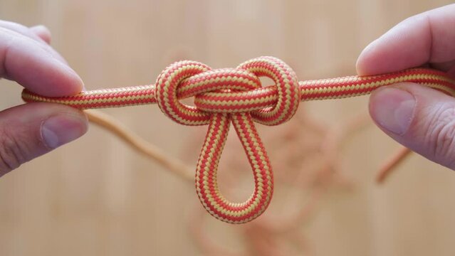 Details of an Alpine butterfly loop, a knot used in climbing, sailing, marine, caving, mountaineering.