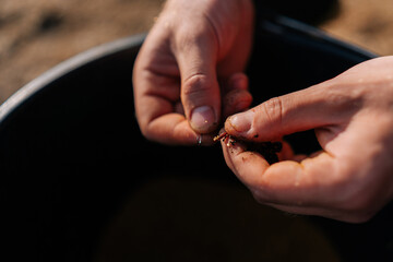 Close-up hands of unrecognizable fisherman preparing bait for fish sitting on river bank. Close up cropped shot of fisher male preparing fishing gear. Concept of lifestyle, leisure activity on nature