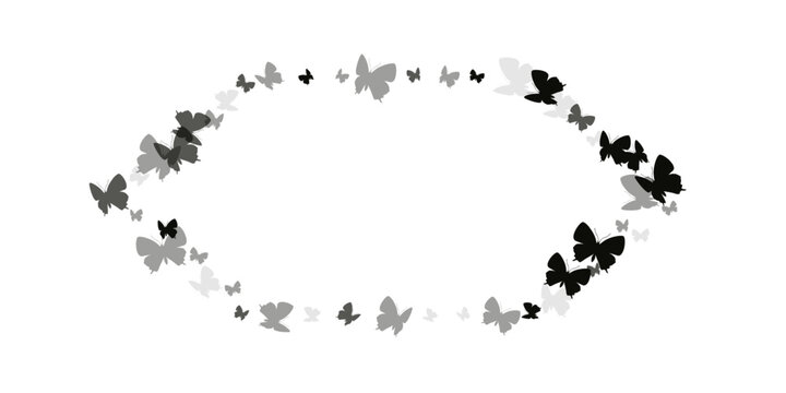 Exotic black butterflies flying vector illustration. Spring vivid insects. Wild butterflies flying kids wallpaper. Sensitive wings moths patten. Nature beings.
