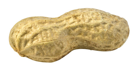 Peanut isolated