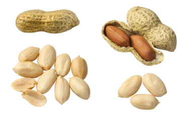 Set of Peanuts isolated