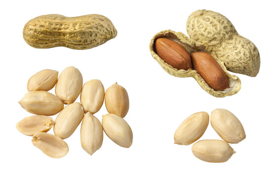 Set of Peanuts isolated