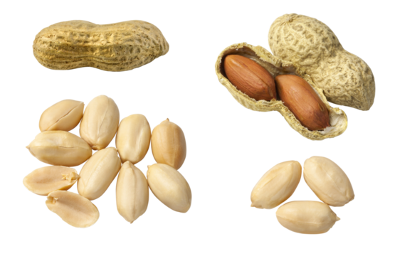 Set of Peanuts isolated