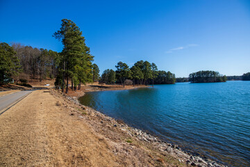 vast blue rippling water at Lake Lanier with the sun reflecting off the water and lush green trees...