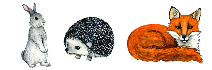 Watercolor wild forest animal. Illustration fox, hedgehog, hare, rabbit for kids design. © Irina