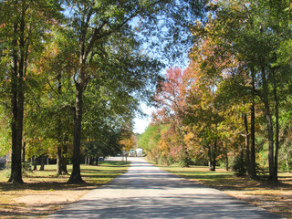 path in the park