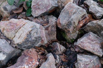 Rock, stones nature background with branches with leaves