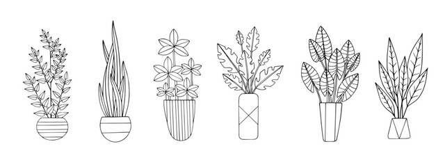 Linear sketch, coloring of indoor plants, flowers in a pot. Vector graphics.	