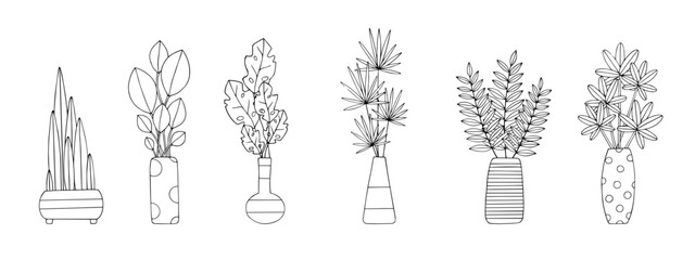 Linear sketch, coloring of indoor plants, flowers in a pot. Vector graphics.	