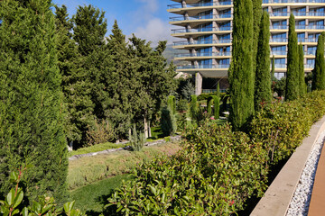 A walk in the park near the Black Sea coast. Crimea, Yalta. Vacation at the recreation center.