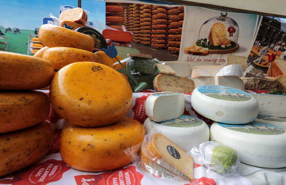 Dutch cheese on a street market in Alkmaar. Netherlands