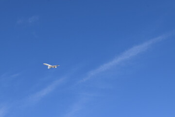 Plane Flying in the Sky