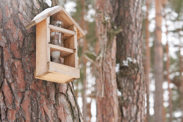 Bird feeder on a tree trunk in a winter pine forest.