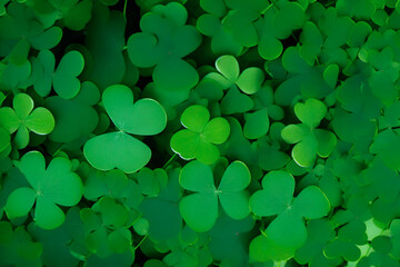 Green leaves of clover. Abstract background on St. Patrick's Day