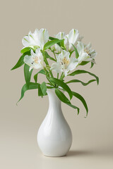 colorful alstroemeria flowers on a beige background