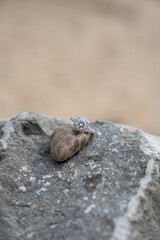 A Diamond Ring on a Stone