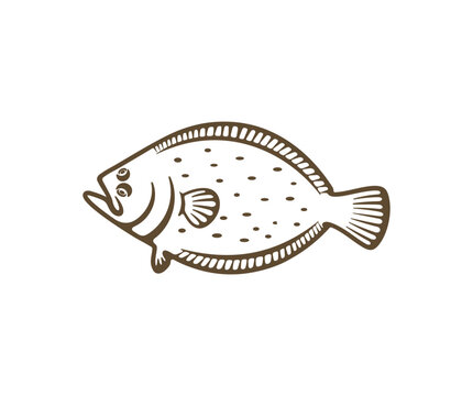 recommend clip art: Flounder, fish, fishing, animal, seafood and food, silhouette and graphic design. Flatfish, plaice, turbot, halibut, angling and nature, vector design and illustration