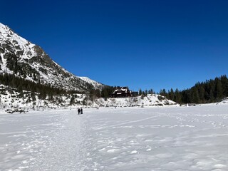 Views from winter hiking path in the forest. Mountain nature landscape. Forest landscape from walking, hiking in the mountains. Snowy path in the forest with bridge and river. Sunny winter day.
