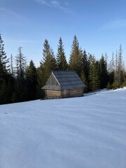 Views from winter hiking path in the forest. Mountain nature landscape. Forest landscape from walking, hiking in the mountains. Snowy path in the forest with bridge and river. Sunny winter day.
