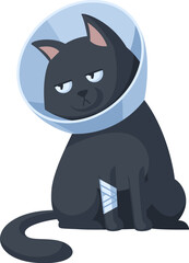 Sad black cat with a bandaged paw in a veterinary cone collar. Concept illustration of providing first aid to pets. Isolated on white background.